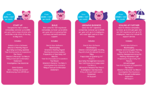 Limited Company Sample Pricing