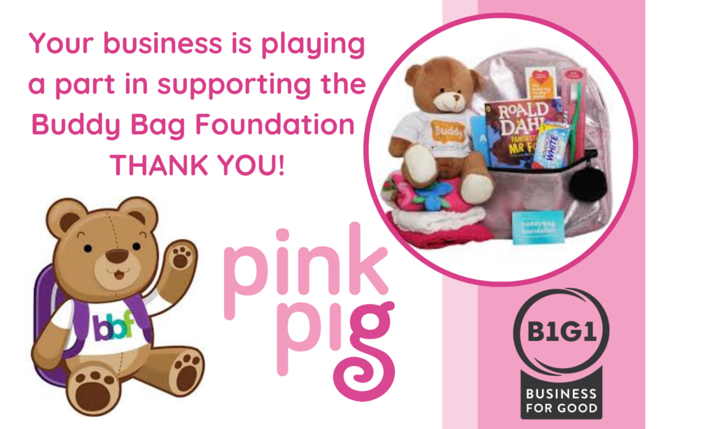 Pink Pig Financials partnership with The Buddy Bag Foundation