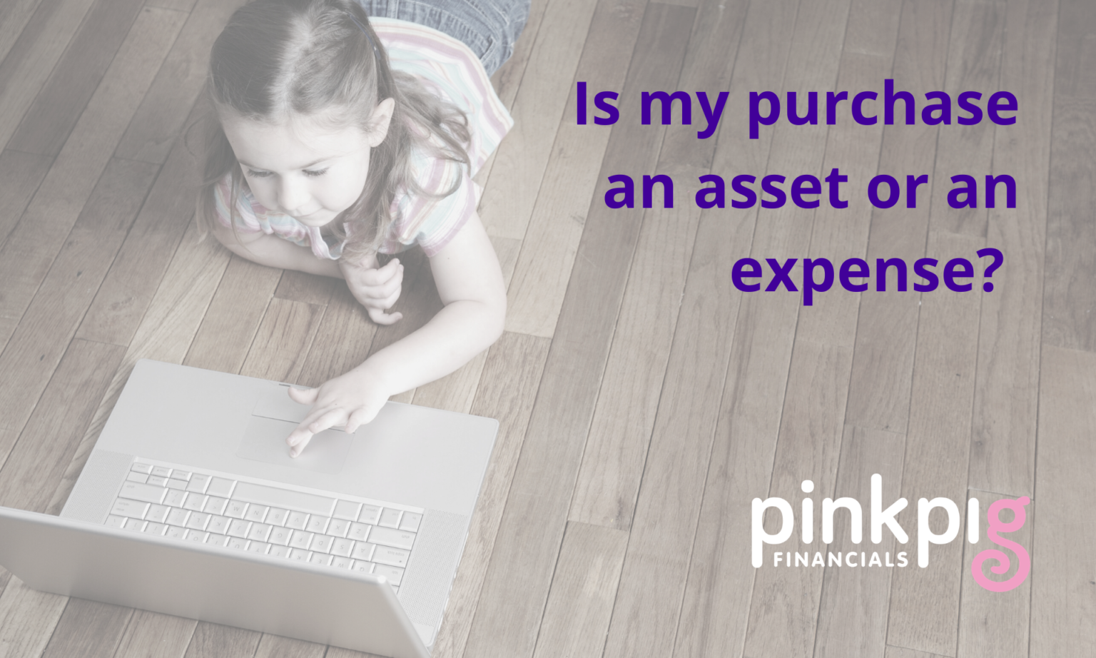 Is my purchase an asset or an expense? Pink Pig