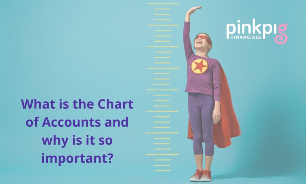 What is the Chart of Accounts?