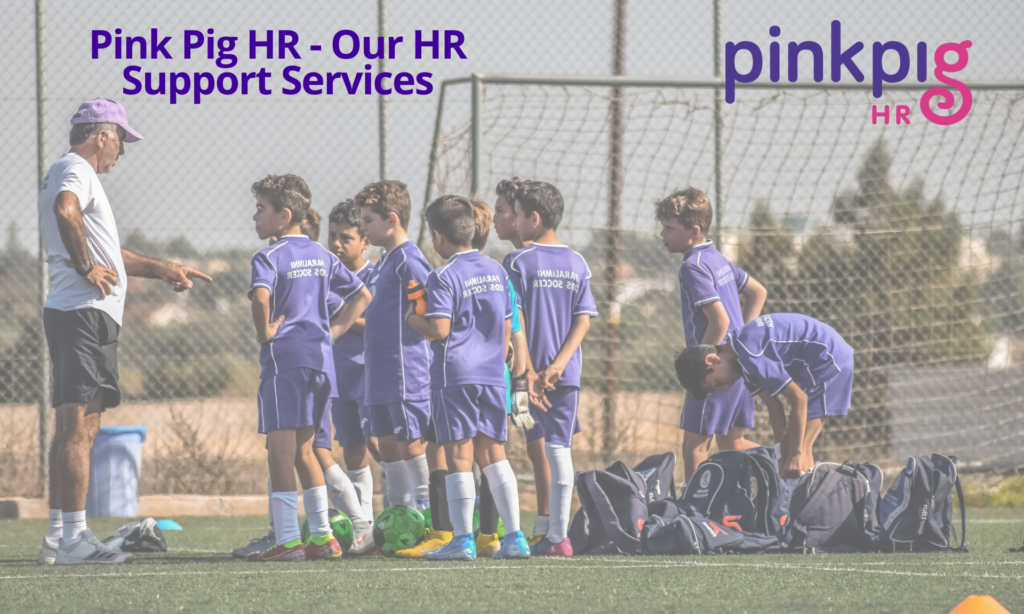 Pink Pig HR - HR Support Services
