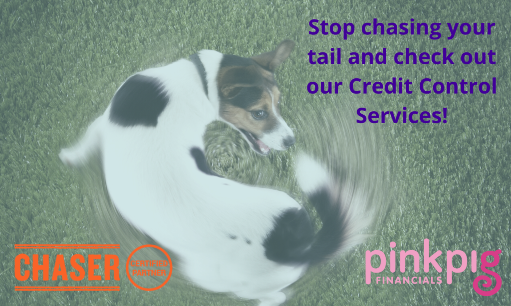 Stop chasing your tail and check out our credit control services!